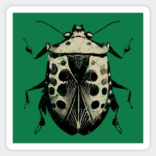 Stink Bug Insect Art Sticker